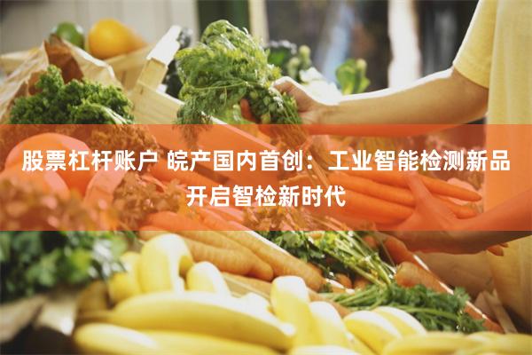 股票杠杆账户 皖产国内首创：工业智能检测新品开启智检新时代