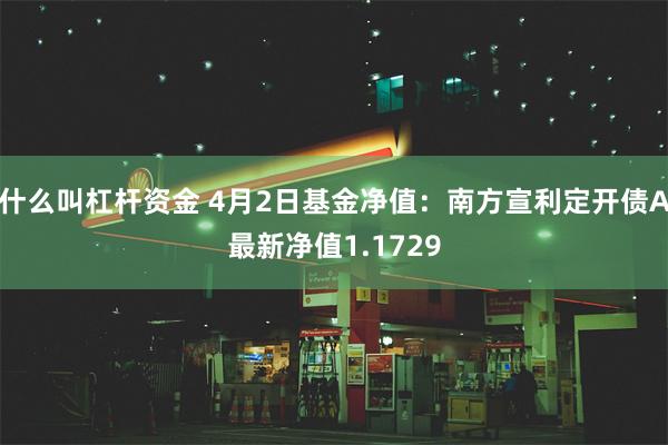 什么叫杠杆资金 4月2日基金净值：南方宣利定开债A最新净值1.1729