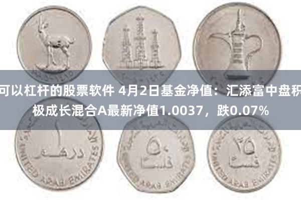 可以杠杆的股票软件 4月2日基金净值：汇添富中盘积极成长混合A最新净值1.0037，跌0.07%