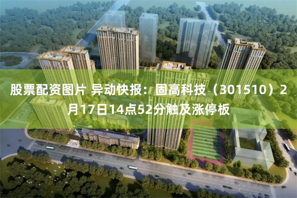 股票配资图片 异动快报：固高科技（301510）2月17日14点52分触及涨停板