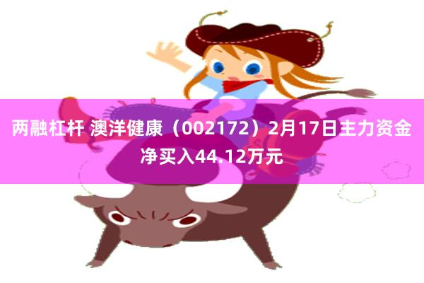 两融杠杆 澳洋健康（002172）2月17日主力资金净买入44.12万元