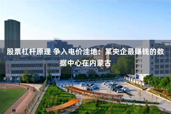 股票杠杆原理 争入电价洼地：某央企最赚钱的数据中心在内蒙古