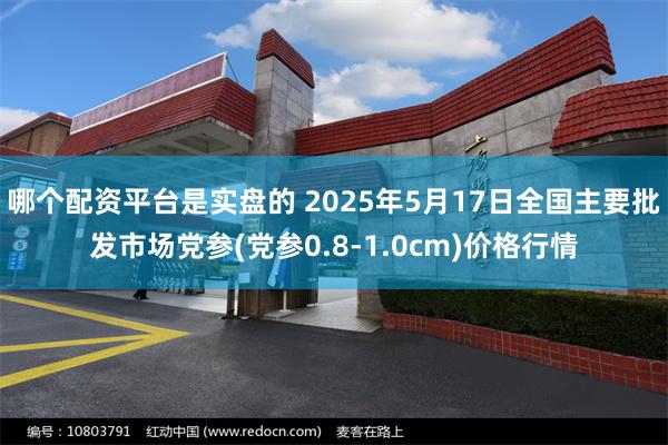 哪个配资平台是实盘的 2025年5月17日全国主要批发市场党参(党参0.8-1.0cm)价格行情