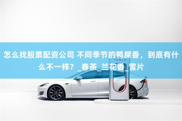 怎么找股票配资公司 不同季节的鸭屎香，到底有什么不一样？_春茶_兰花香_雪片