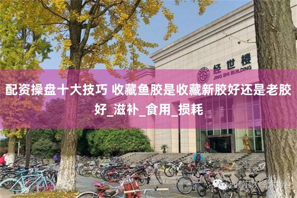 配资操盘十大技巧 收藏鱼胶是收藏新胶好还是老胶好_滋补_食用_损耗