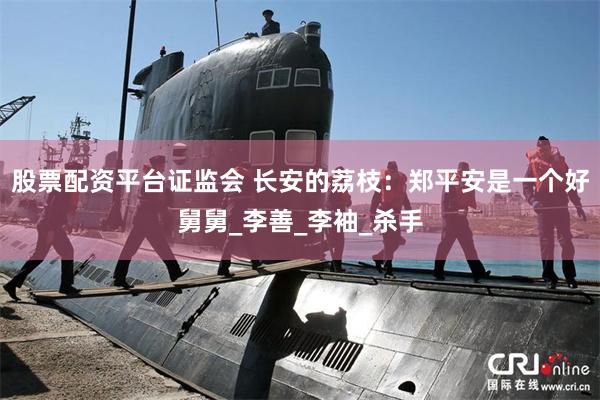 股票配资平台证监会 长安的荔枝：郑平安是一个好舅舅_李善_李袖_杀手