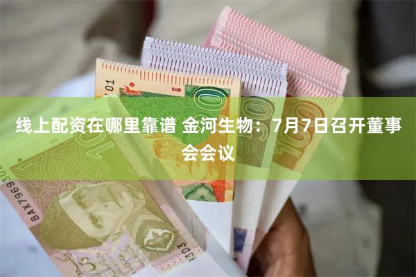 线上配资在哪里靠谱 金河生物：7月7日召开董事会会议