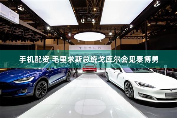 手机配资 毛里求斯总统戈库尔会见秦博勇
