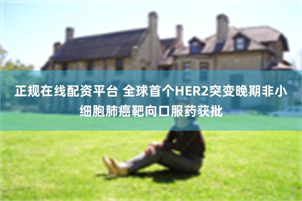 正规在线配资平台 全球首个HER2突变晚期非小细胞肺癌靶向口服药获批