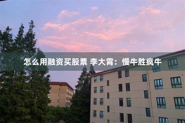 怎么用融资买股票 李大霄：慢牛胜疯牛