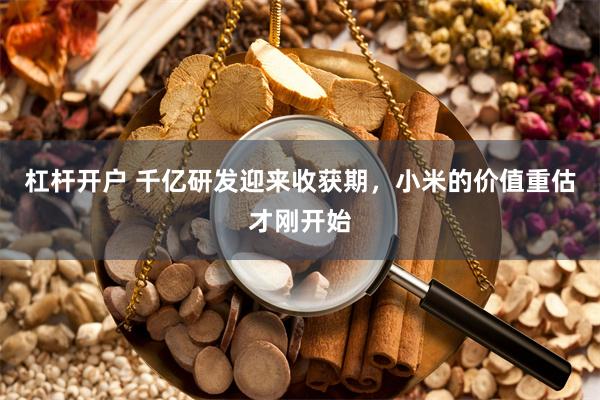 杠杆开户 千亿研发迎来收获期，小米的价值重估才刚开始